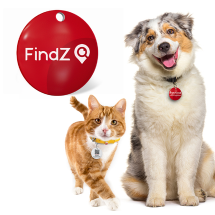 FindZ QR Pet Tag - The Smart, Simple Way to Bring Them Home