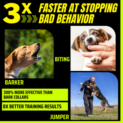 Instant Calm Trainer – BarxBuddy Transform Your Dog's Behavior with One Click