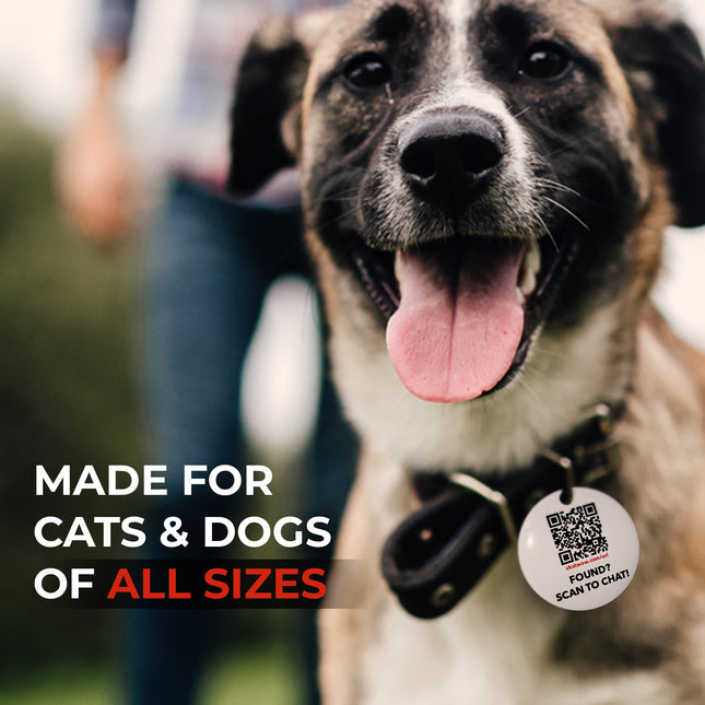 FindZ QR Pet Tag - The Smart, Simple Way to Bring Them Home