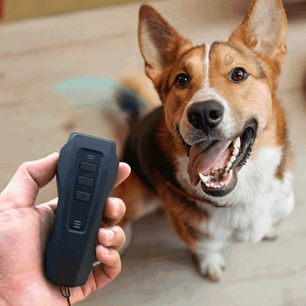 Instant Calm Trainer – BarxBuddy Transform Your Dog's Behavior with One Click