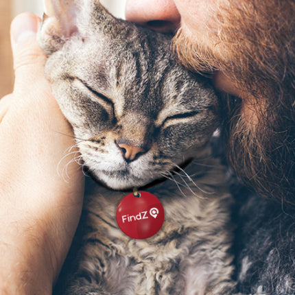FindZ QR Pet Tag - The Smart, Simple Way to Bring Them Home