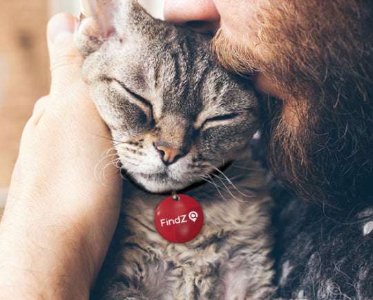 🐾 FINDZ SMART QR PET TAG