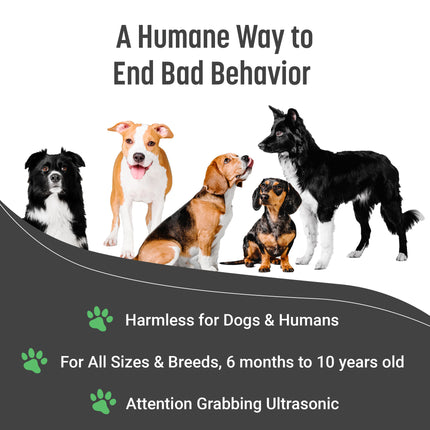 Instant Calm Trainer – BarxBuddy Transform Your Dog's Behavior with One Click