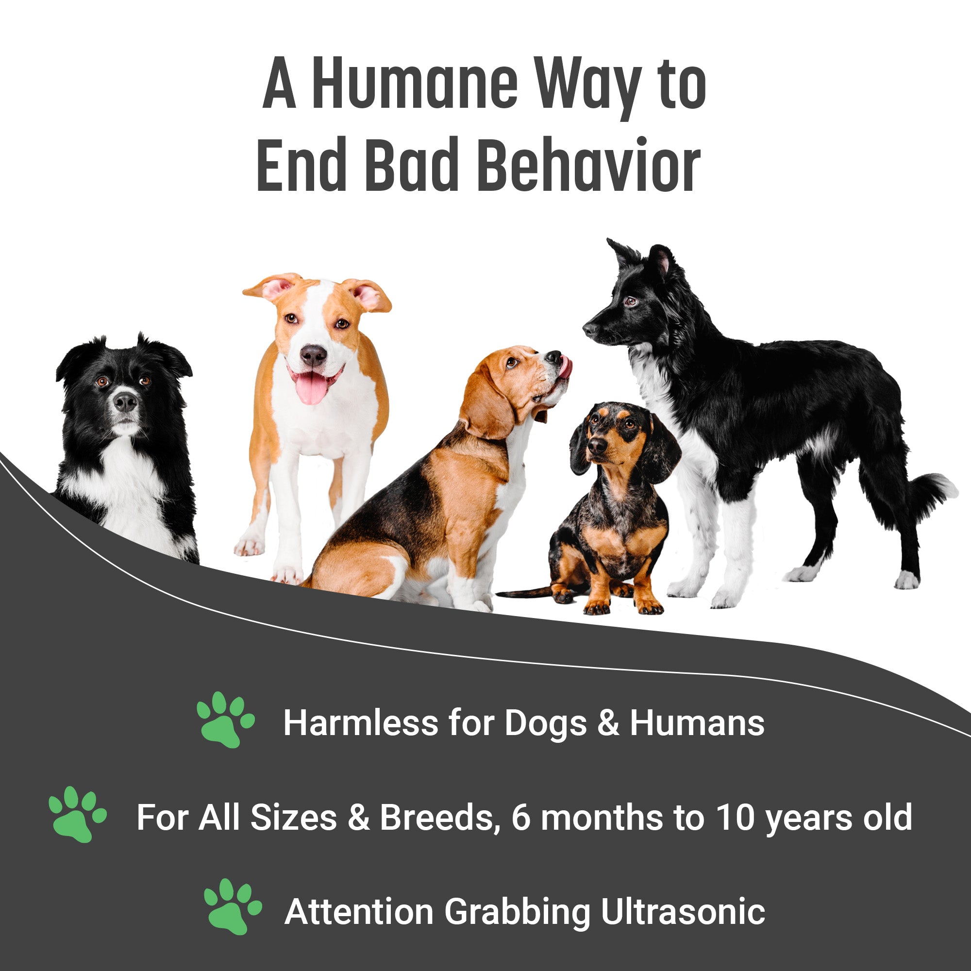 Instant Calm Trainer – BarxBuddy Transform Your Dog's Behavior with One Click