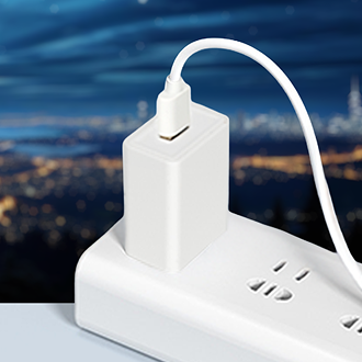 GuardHouse USB Wall Adapter
