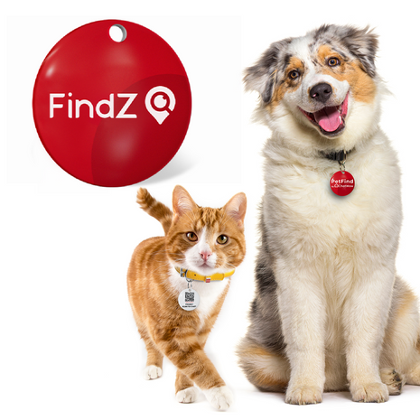 FindZ QR Pet Tag - Lost and Found Solution, Quick and Easy Identification