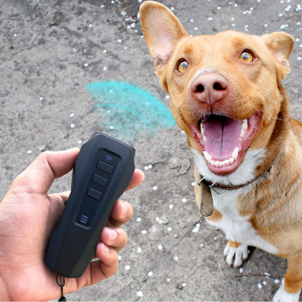 Immediate Behavior Correction