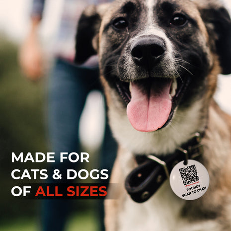 FindZ QR Pet Tag - Lost and Found Solution, Quick and Easy Identification