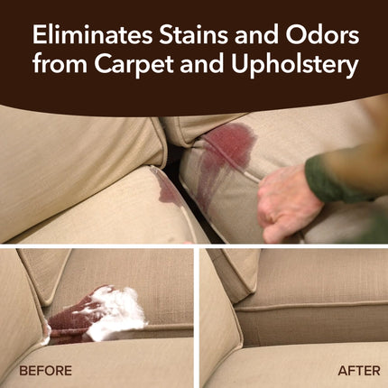 HorsePower BullShot – Hands-Free Stain Remover for Carpets & Upholstery