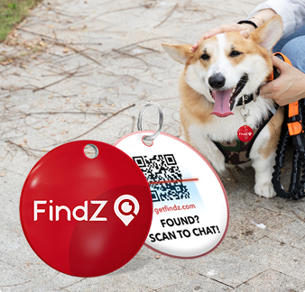 🐾 FINDZ SMART QR PET TAG