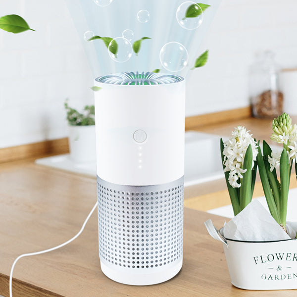 Blast HEPA Air Cleaner