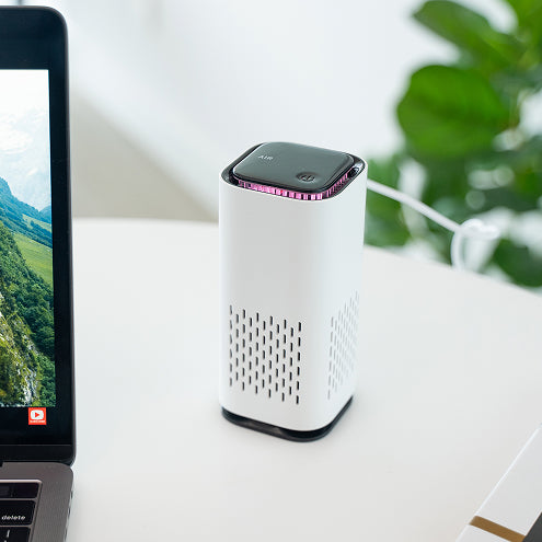 Blast Charcoal Air Cleaner
