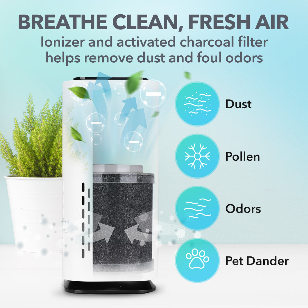Blast Charcoal Air Cleaner