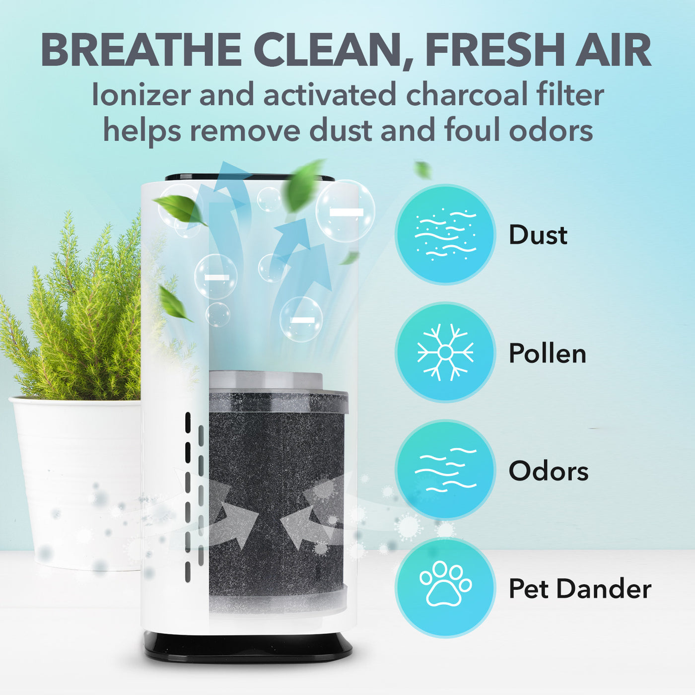 Blast Charcoal Air Cleaner