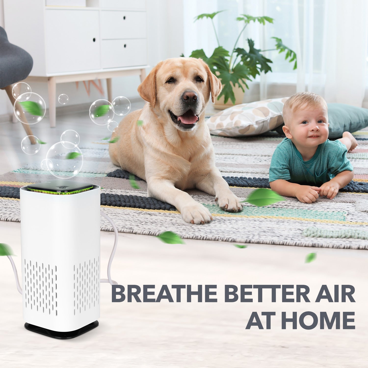 Blast Charcoal Air Cleaner